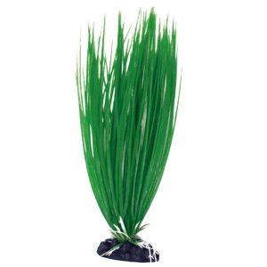 Amtra - Plant Classic Acorus - Pianta Sintetica circa 27cm LG