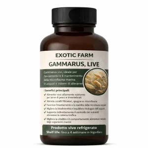 Inoculo gammarus oceanicus – 1 litro