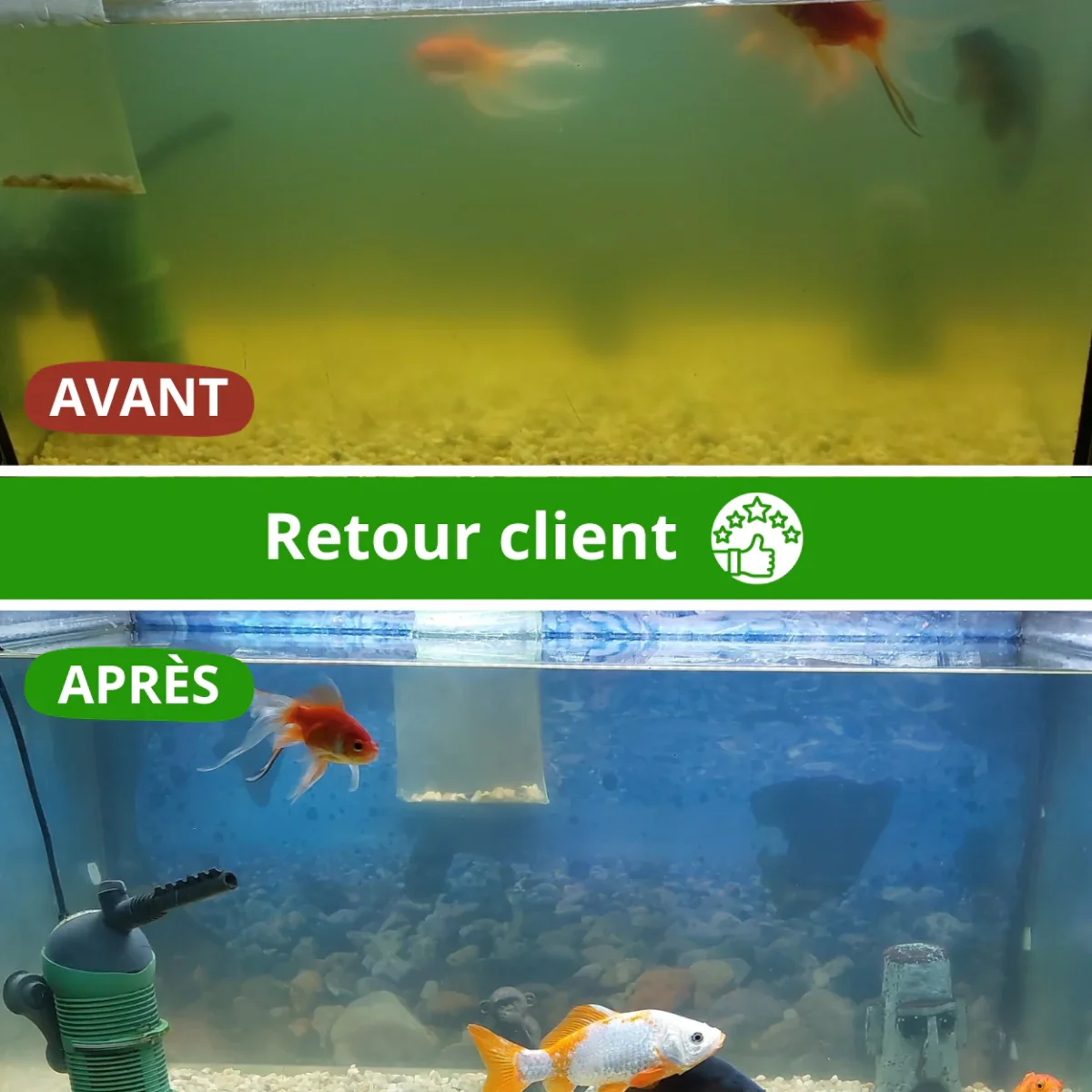 ZollaBox Eau Claire - immagine 5