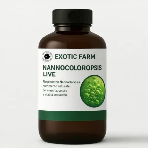 Nannochloropsis – fitoplancton marino, alimento completo per coralli e filtratori – 1000 ml