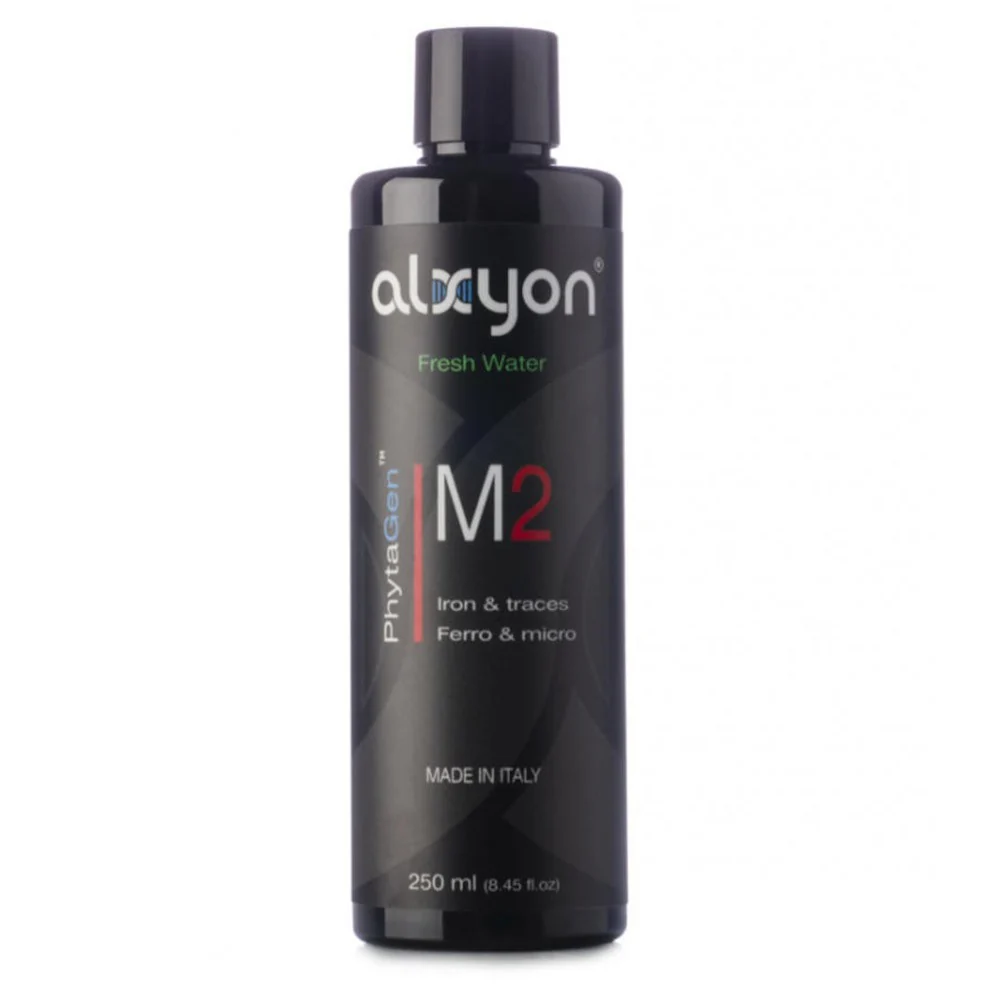 Alxyon M2 - immagine 2