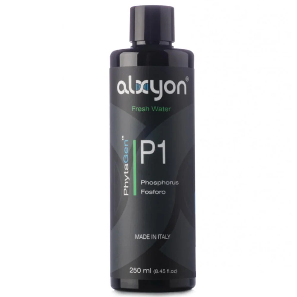 Alxyon P1 250ML
