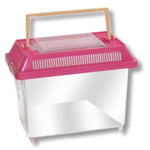 Amtra - BoxLife Trasportino In Plastica per Pesci e Piccoli Animali