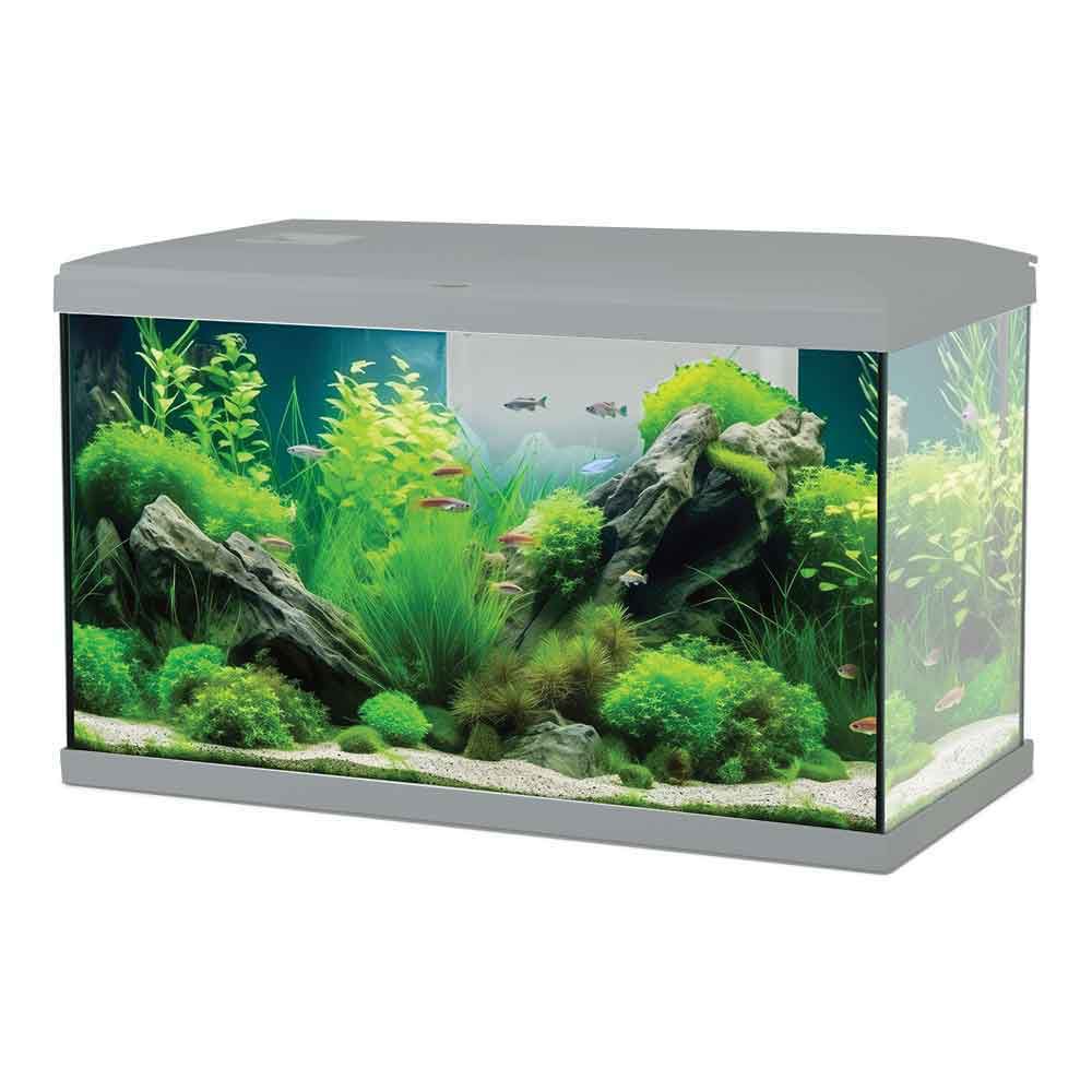 Zolux - Acquario Tana 60 Completo 63 Litri 60x30x35h cm - immagine 4