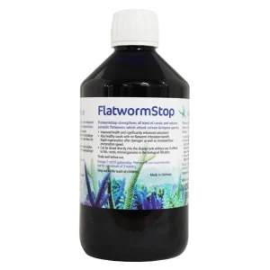 Korallen-Zucht - FlatwormStop - protegge i coralli dalle turbellarie che si cibano del tessuto delle acropore