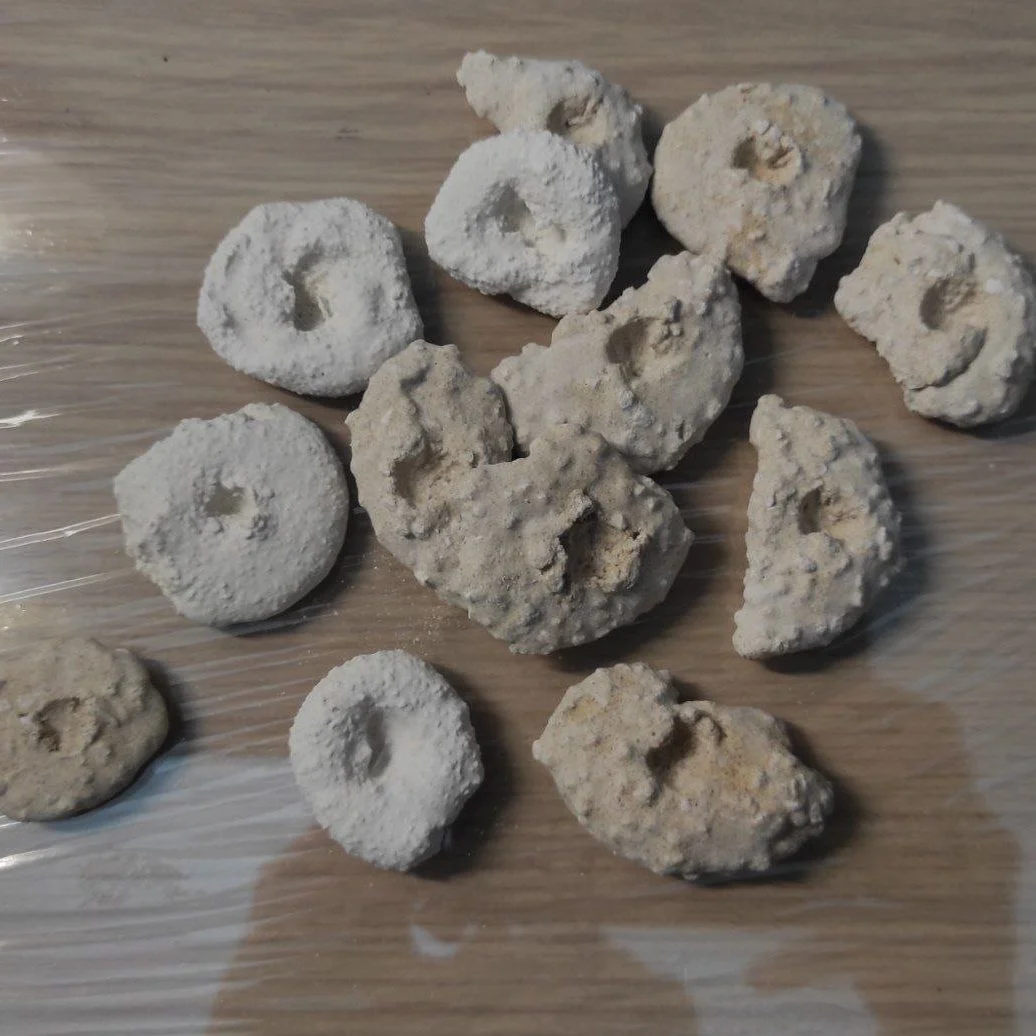 Basette per coralli – mini rocks 25 pz. - immagine 3