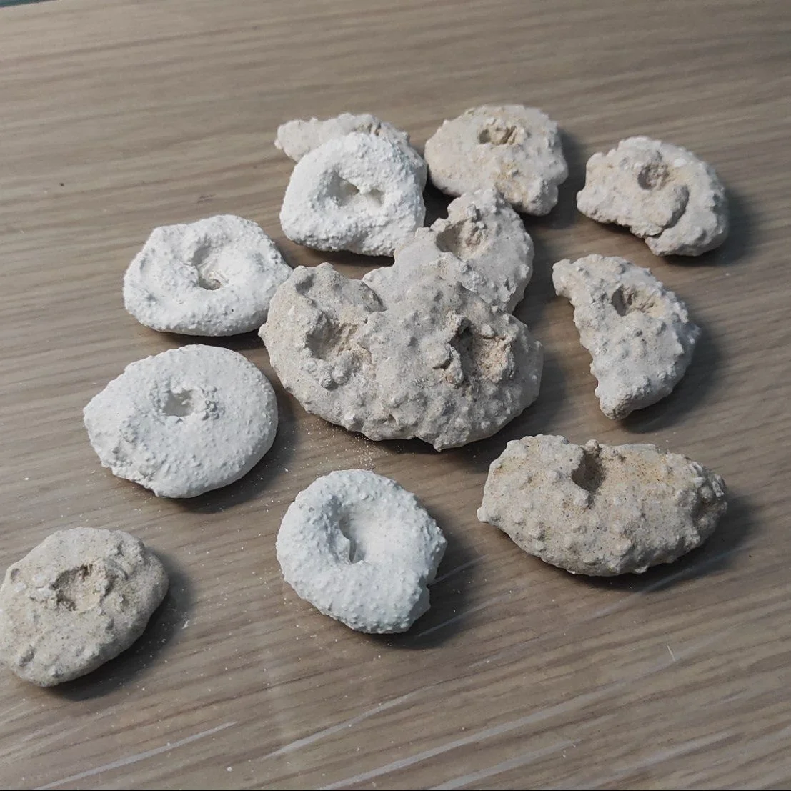 Basette per coralli – mini rocks 25 pz. - immagine 4