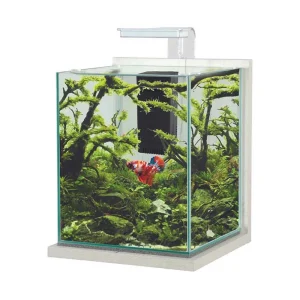 Zolux - Jalaya XXL Acquario 31,5L CERUSE BIANCO completo di filtro interno e plafoniera LED