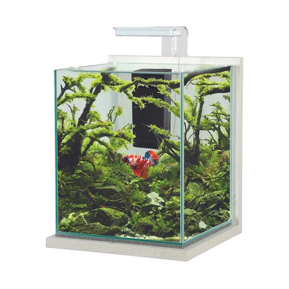 Zolux - Jalaya XXL Acquario 31,5L CERUSE BIANCO completo di filtro interno e plafoniera LED - immagine 2